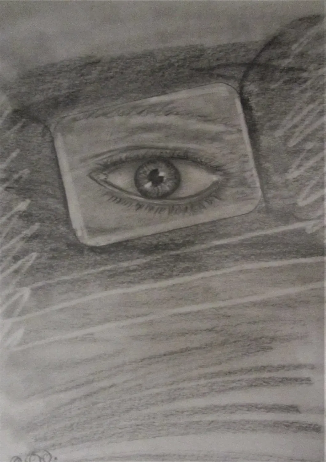 Het oog