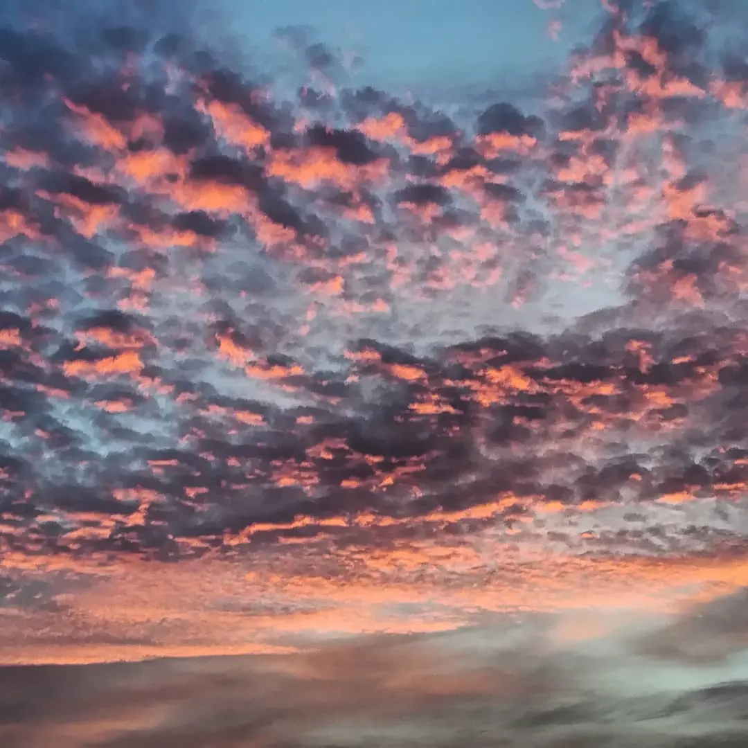 Avondrood